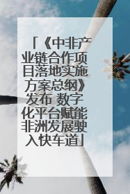 《中非产业链合作项目落地实施方案总纲》发布 数字化平台赋能非洲发展驶入快车道
