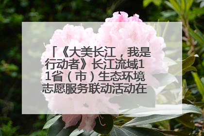 《大美长江，我是行动者》长江流域11省（市）生态环境志愿服务联动活动在江苏南通成功启动
