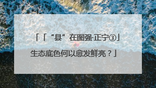 「“县”在图强·正宁③」生态底色何以愈发鲜亮？