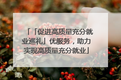 「促进高质量充分就业巡礼」优服务，助力实现高质量充分就业