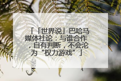 「世界说」巴哈马媒体社论：与谁合作，自有判断，不会沦为“权力游戏”