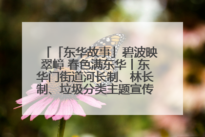 「东华故事」碧波映翠嶂 春色满东华丨东华门街道河长制、林长制、垃圾分类主题宣传如火如荼中