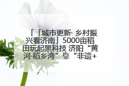 「城市更新· 乡村振兴看济南」5000亩稻田玩起黑科技 济阳“黄河·稻乡湾”靠“非遗+露营”火出圈