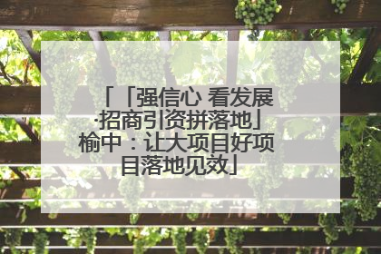「强信心 看发展·招商引资拼落地」榆中：让大项目好项目落地见效