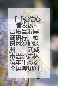 「强信心 看发展·高质量发展调研行」植树固沙护绿洲——武威市治沙造林筑牢生态安全屏障见闻