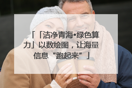 「洁净青海•绿色算力」以数绘图，让海量信息“跑起来”