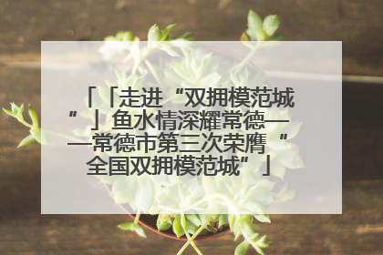 「走进“双拥模范城”」鱼水情深耀常德——常德市第三次荣膺“全国双拥模范城”