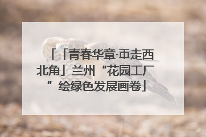 「青春华章·重走西北角」兰州“花园工厂”绘绿色发展画卷