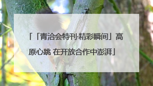 「青洽会特刊·精彩瞬间」高原心跳 在开放合作中澎湃
