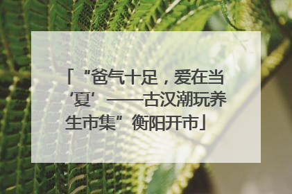 “爸气十足，爱在当‘夏’——古汉潮玩养生市集”衡阳开市