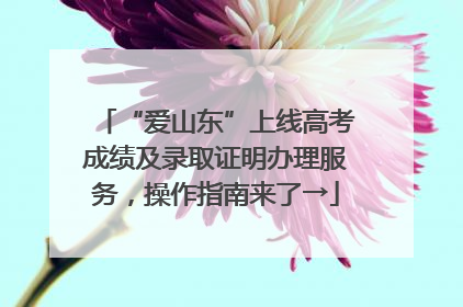“爱山东”上线高考成绩及录取证明办理服务，操作指南来了→