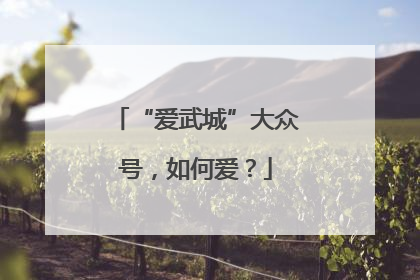 “爱武城”大众号，如何爱？