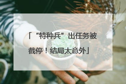 “特种兵”出任务被截停！结局太意外