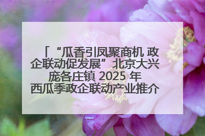 “瓜香引凤聚商机 政企联动促发展”北京大兴庞各庄镇 2025 年西瓜季政企联动产业推介活动圆满举行
