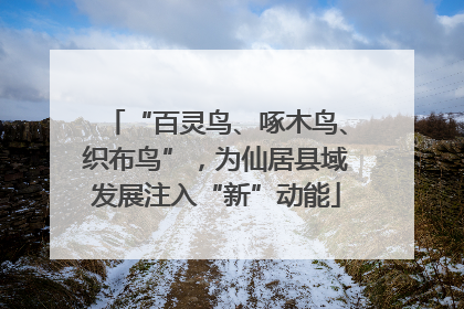 “百灵鸟、啄木鸟、织布鸟”，为仙居县域发展注入“新”动能