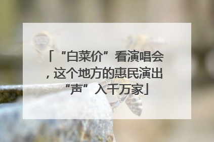 “白菜价”看演唱会，这个地方的惠民演出“声”入千万家