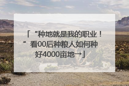 “种地就是我的职业！”看00后种粮人如何种好4000亩地→