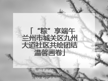“粽”享端午 兰州市城关区九州大道社区共绘团结温馨画卷