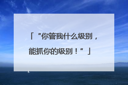 “你管我什么级别，能抓你的级别！”