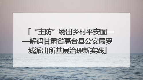 “主防”绣出乡村平安图——解码甘肃省高台县公安局罗城派出所基层治理新实践