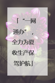 “一网通办”，全力为夏收生产保驾护航