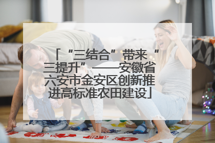 “三结合”带来“三提升”——安徽省六安市金安区创新推进高标准农田建设