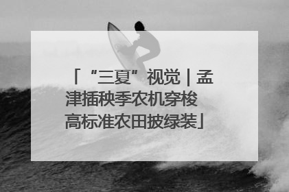 “三夏”视觉｜孟津插秧季农机穿梭 高标准农田披绿装