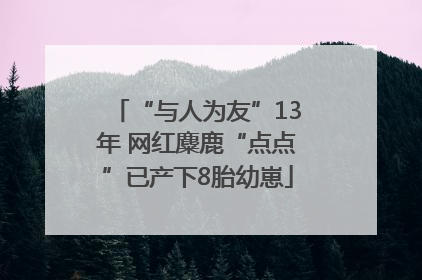 “与人为友”13年 网红麋鹿“点点”已产下8胎幼崽