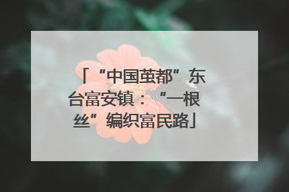 “中国茧都”东台富安镇：“一根丝”编织富民路
