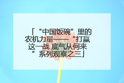 “中国饭碗”里的农机力量——“打赢这一战 底气从何来”系列观察之三