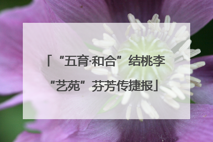 “五育·和合”结桃李 “艺苑”芬芳传捷报