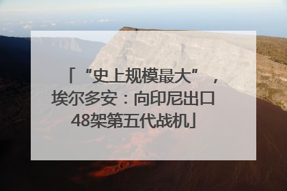 “史上规模最大”，埃尔多安：向印尼出口48架第五代战机