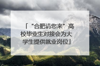 “合肥请您来”高校毕业生对接会为大学生提供就业岗位
