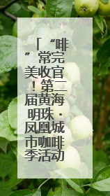 “啡”常完美收官！第二届黄海明珠・凤凰城市咖啡季活动圆满结束
