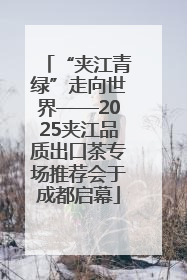 “夹江青绿”走向世界——2025夹江品质出口茶专场推荐会于成都启幕