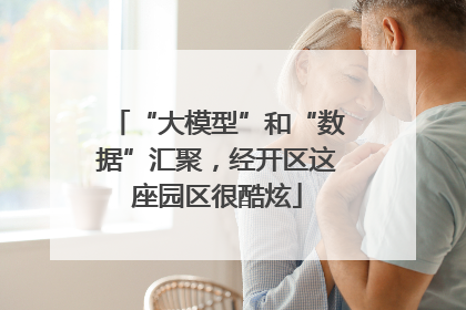 “大模型”和“数据”汇聚，经开区这座园区很酷炫