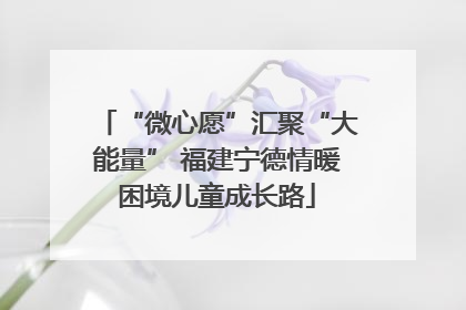 “微心愿”汇聚“大能量” 福建宁德情暖困境儿童成长路