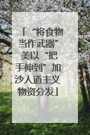 “将食物当作武器” 美以“把手伸到”加沙人道主义物资分发