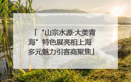 “山宗水源·大美青海”特色展亮相上海 多元魅力引客商聚焦