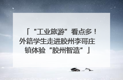 “工业旅游”看点多！外籍学生走进胶州李哥庄镇体验“胶州智造”