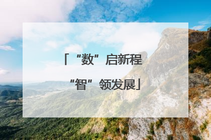 “数”启新程 “智”领发展
