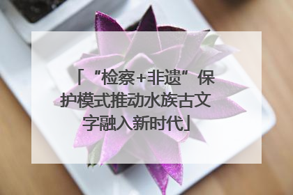 “检察+非遗”保护模式推动水族古文字融入新时代