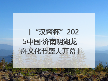 “汉酱杯”2025中国·济南明湖龙舟文化节盛大开幕