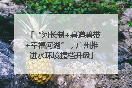 “河长制+碧道碧带+幸福河湖”，广州推进水环境提档升级