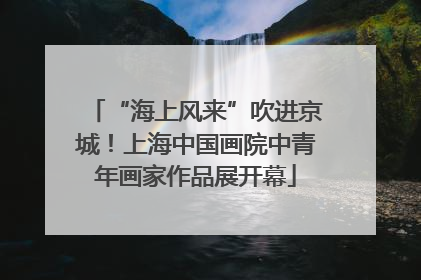 “海上风来”吹进京城！上海中国画院中青年画家作品展开幕