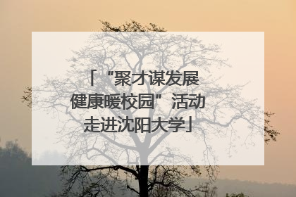 “聚才谋发展 健康暖校园”活动走进沈阳大学