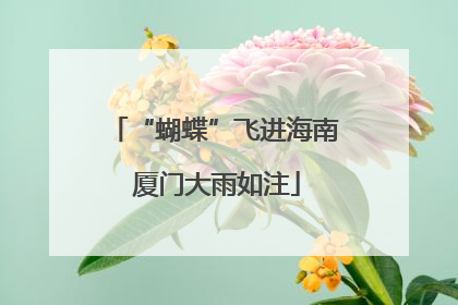 “蝴蝶”飞进海南 厦门大雨如注