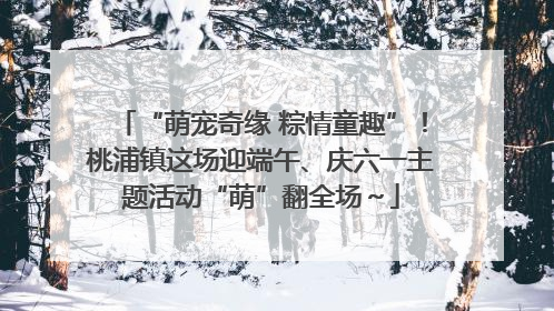 “萌宠奇缘 粽情童趣”！桃浦镇这场迎端午、庆六一主题活动“萌”翻全场～
