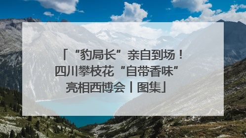 “豹局长”亲自到场！四川攀枝花“自带香味”亮相西博会丨图集