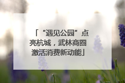 “遇见公园”点亮杭城，武林商圈激活消费新动能